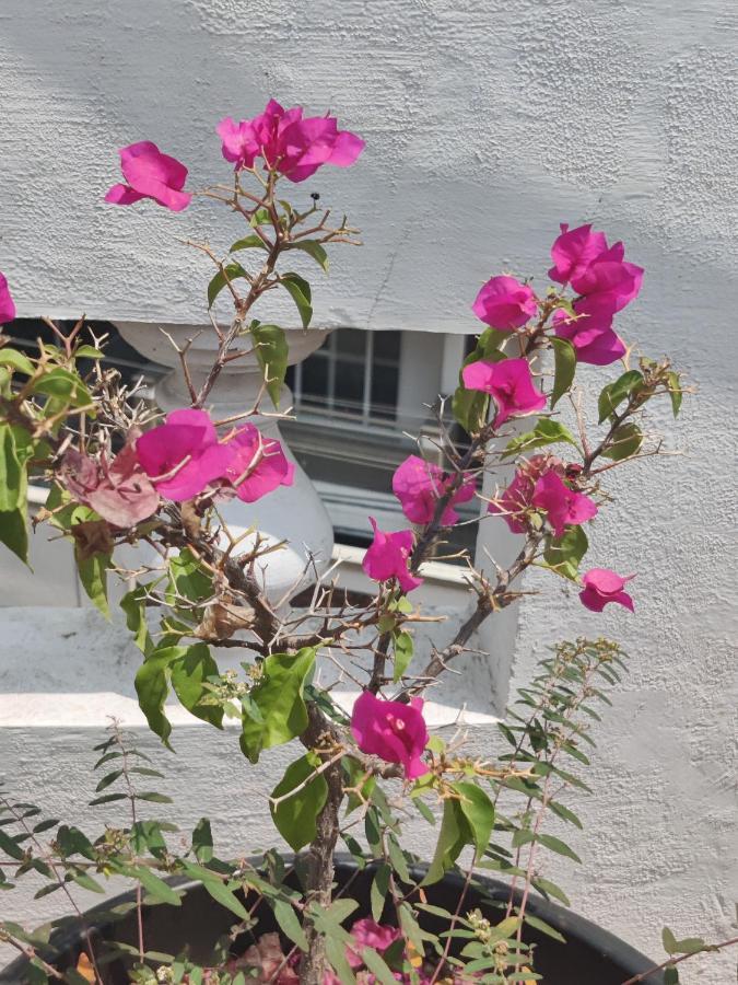 Yoga House Daire Vanivilasa Puram Dış mekan fotoğraf